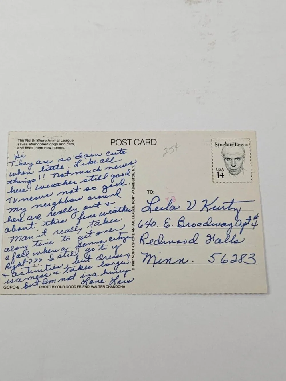 Missing You The North Shore Animal League Postcard